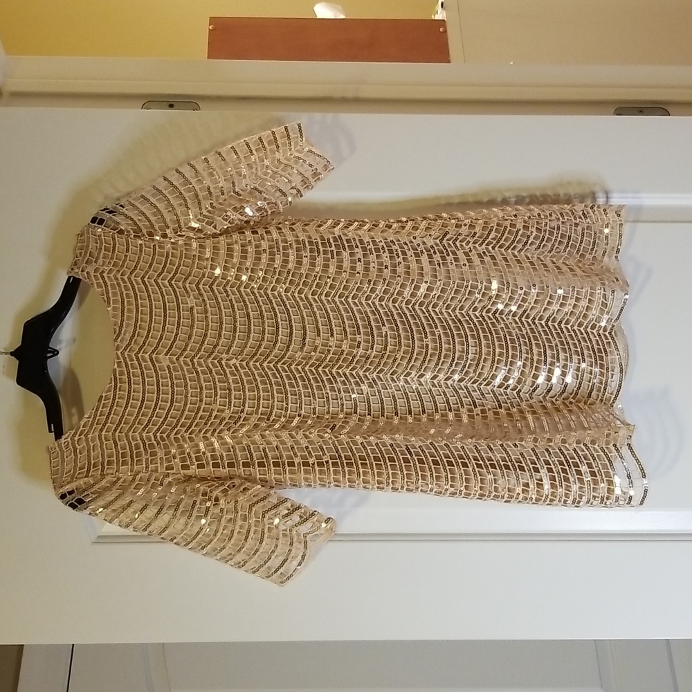 Champagne sequin mini dress